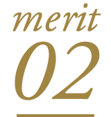 merit 02