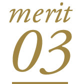 merit 03