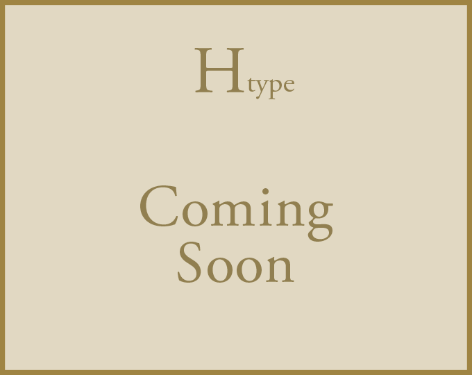 H type