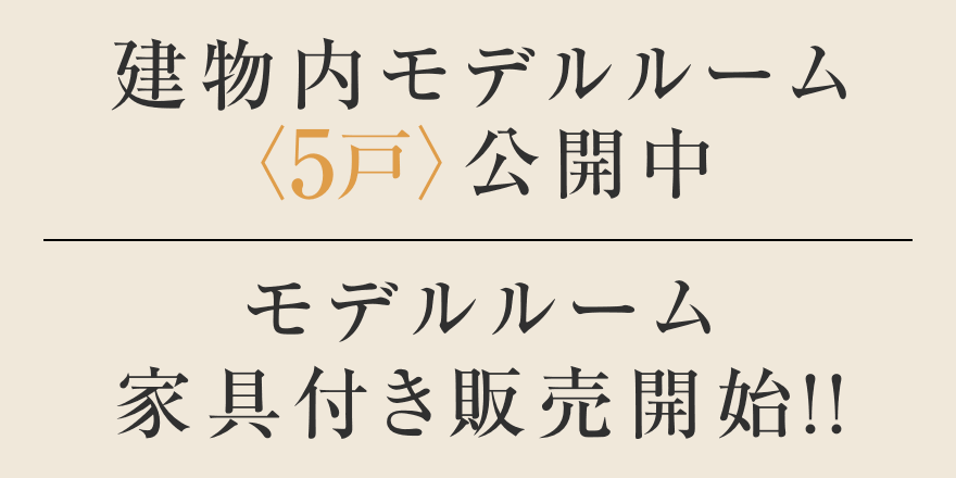 建物内モデルルーム〈5戸〉公開中／ボーナス支払い0円／モデルルーム家具付き販売開始！！